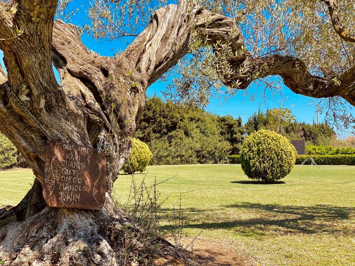 La Casa Del Riu Vell Villa Sant Jaume d'Enveja Buitenkant foto
